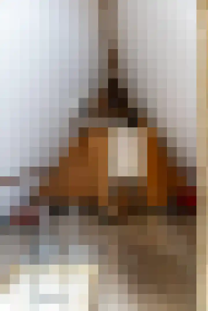 Grootgenhouterstraat 94 Beek thumbnail 20