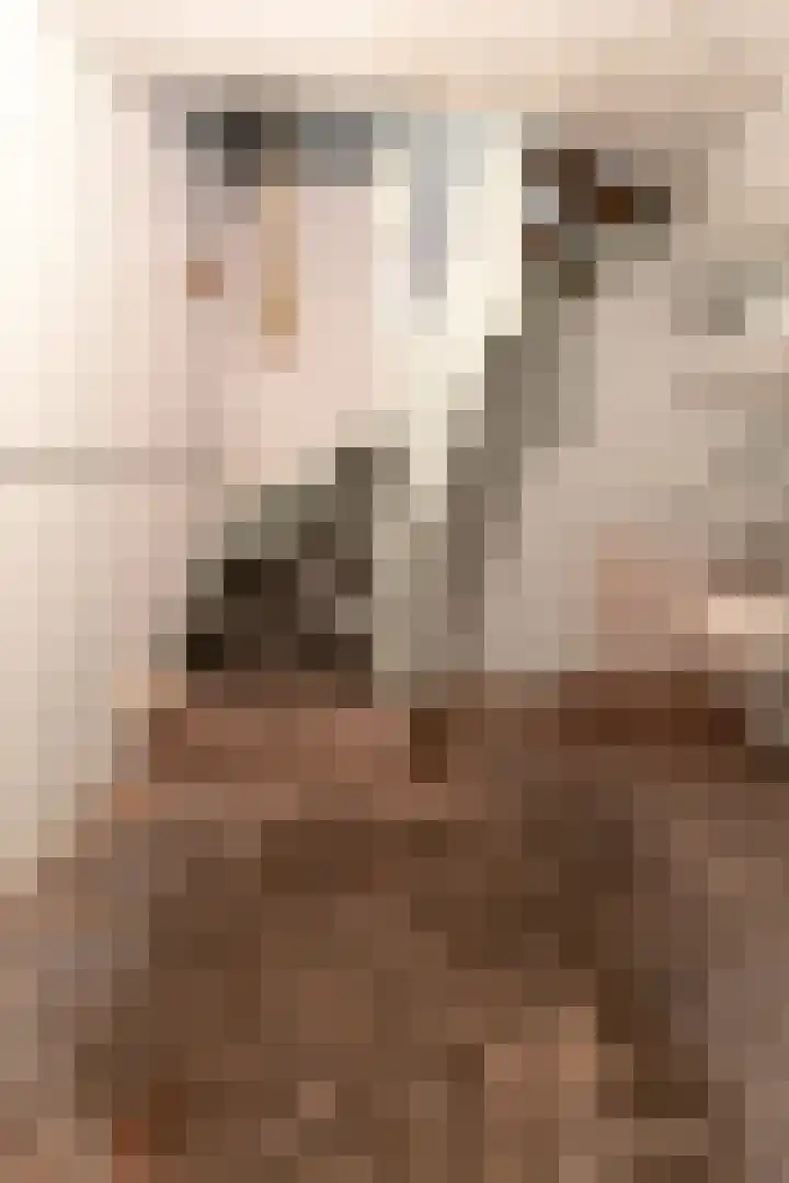Grootgenhouterstraat 94 Beek thumbnail 21
