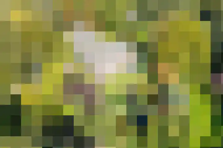 Groothees 18 in Erp