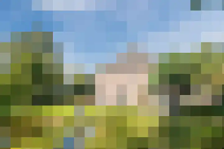 Groothees 18 Erp thumbnail 48