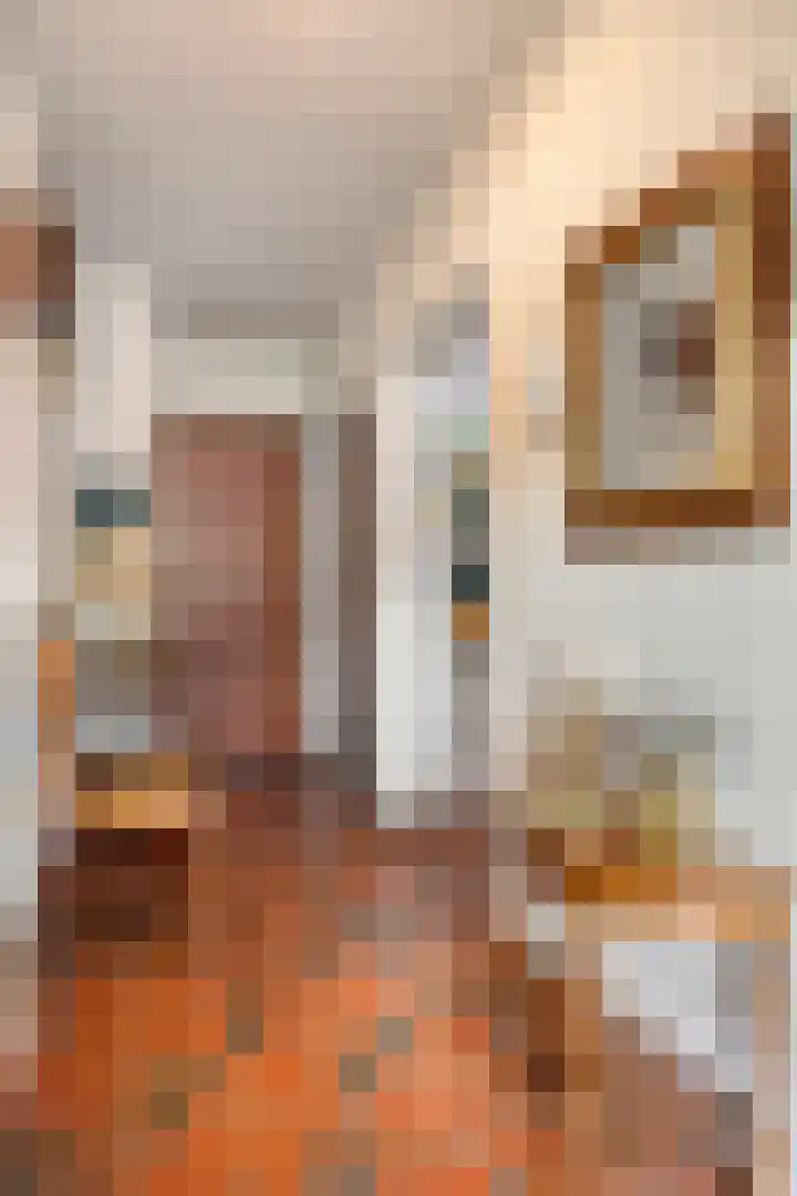 Groothertog Janstraat 3 Geleen thumbnail 13