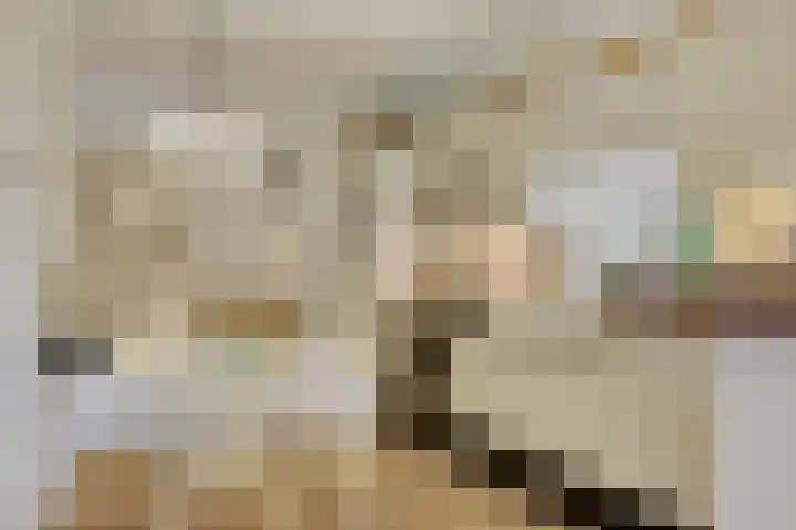 Groothertog Janstraat 3 Geleen thumbnail 25
