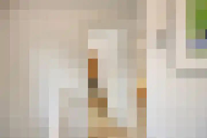 Groothertog Janstraat 3 Geleen thumbnail 31