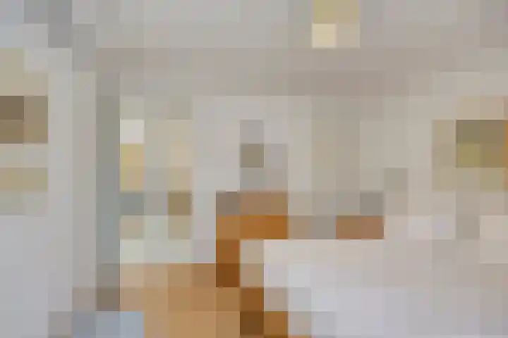 Groothertog Janstraat 3 Geleen thumbnail 33