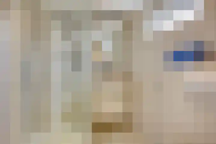 Groothertog Janstraat 3 Geleen thumbnail 34