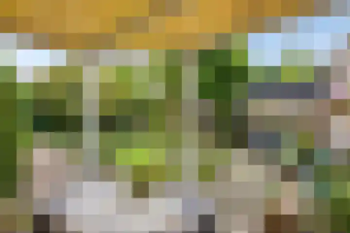 Groothertog Janstraat 3 Geleen thumbnail 39