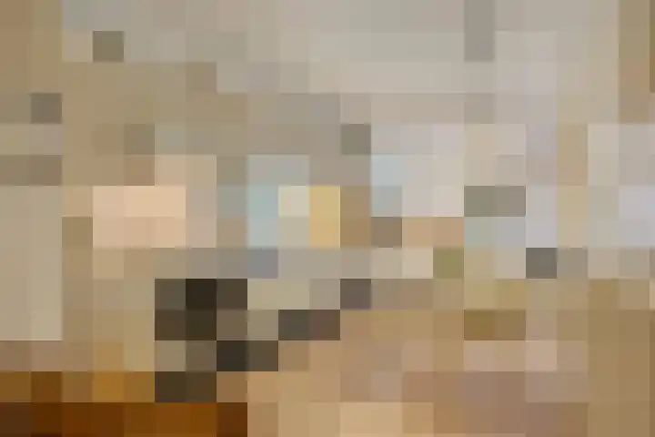 Groothertog Janstraat 3 Geleen thumbnail 4