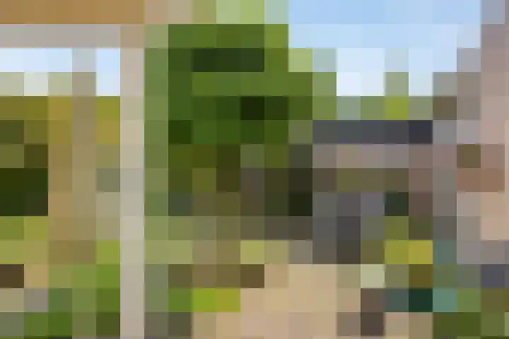 Groothertog Janstraat 3 Geleen thumbnail 40