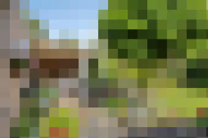 Groothertog Janstraat 3 Geleen thumbnail 41
