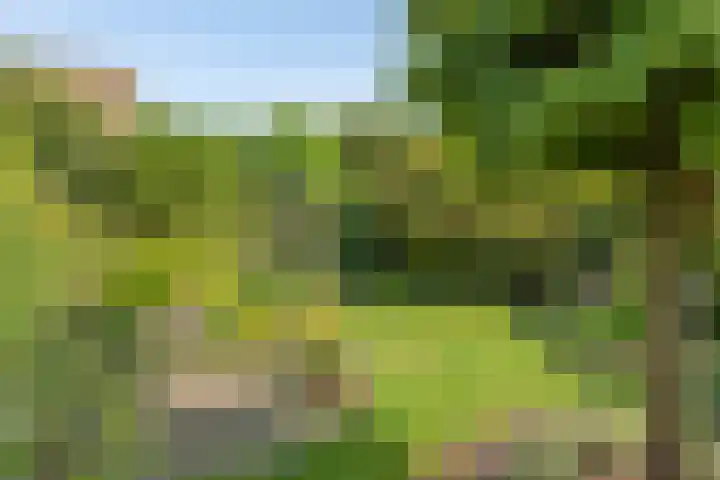 Groothertog Janstraat 3 Geleen thumbnail 42