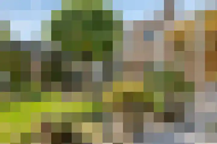 Groothertog Janstraat 3 Geleen thumbnail 43