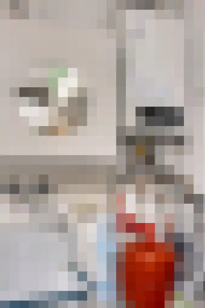 Groothertog Janstraat 3 Geleen thumbnail 46