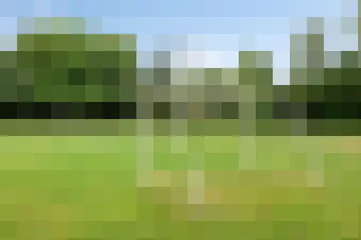 Groothertog Janstraat 3 Geleen thumbnail 48