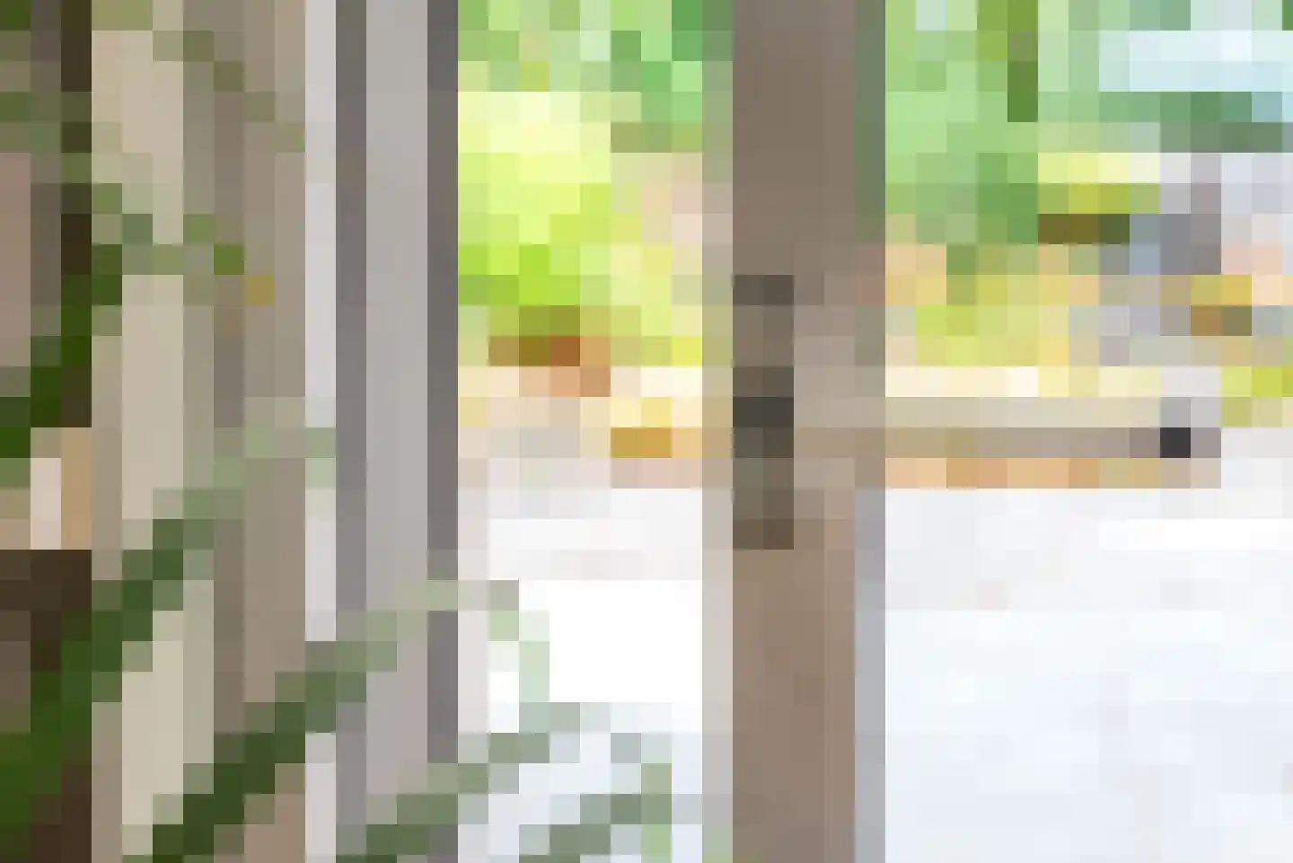 Groothuizerlaan 13 Dinxperlo thumbnail 16