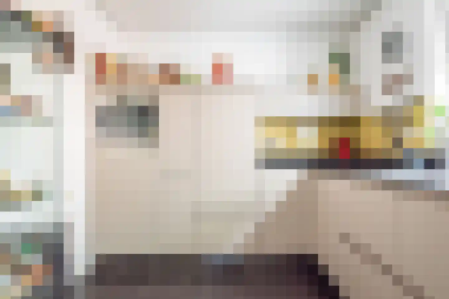 Groothuizerlaan 13 Dinxperlo thumbnail 18