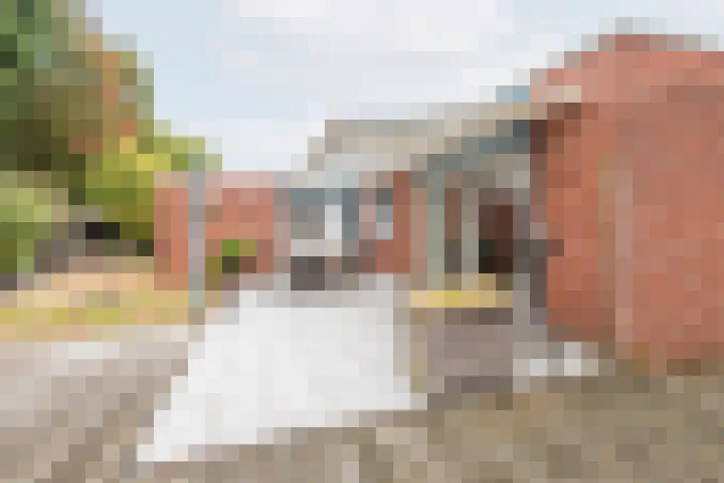 Groothuizerlaan 13 Dinxperlo thumbnail 34