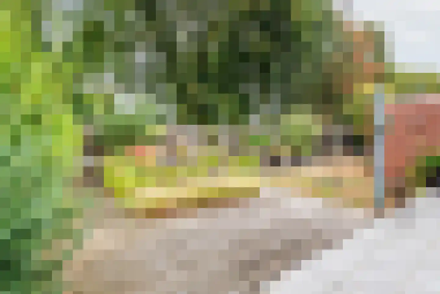Groothuizerlaan 13 Dinxperlo thumbnail 36