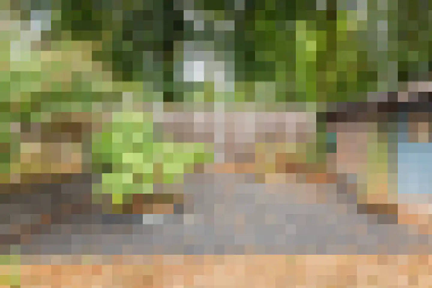 Groothuizerlaan 13 Dinxperlo thumbnail 39