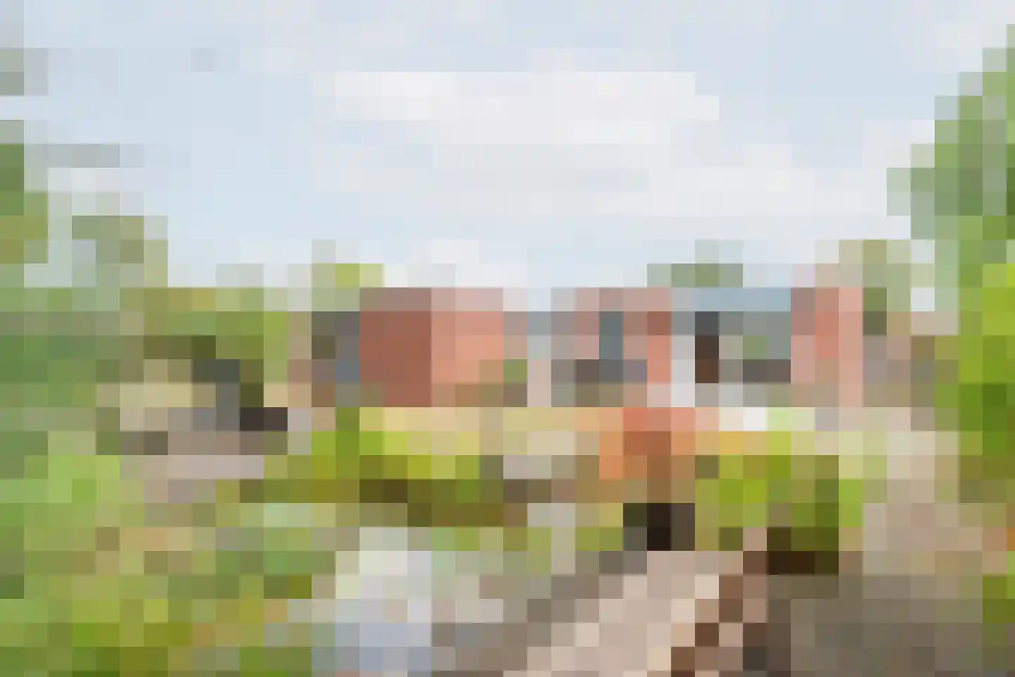 Groothuizerlaan 13 Dinxperlo thumbnail 4