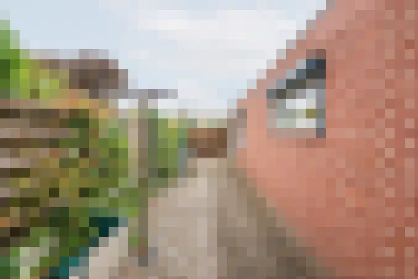 Groothuizerlaan 13 Dinxperlo thumbnail 42