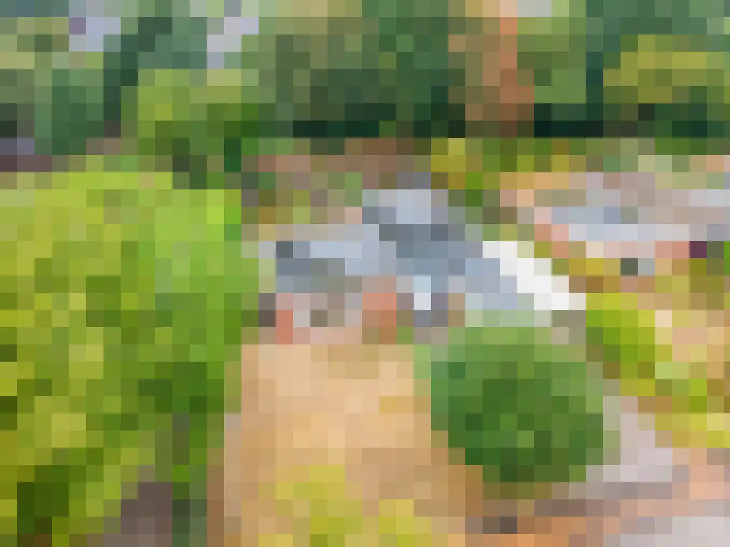 Groothuizerlaan 13 Dinxperlo thumbnail 5