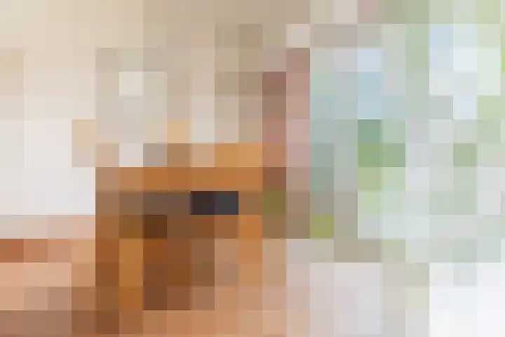 Groothuizerlaan 5 Dinxperlo thumbnail 13