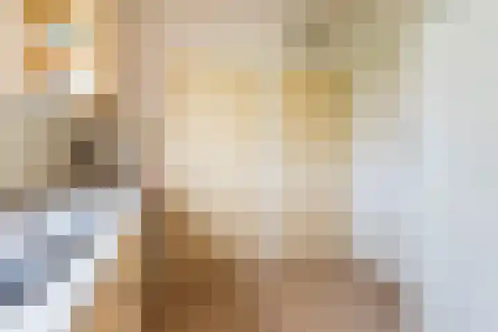 Groothuizerlaan 5 Dinxperlo thumbnail 18