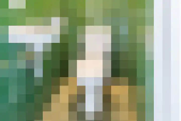 Groothuizerlaan 5 Dinxperlo thumbnail 24