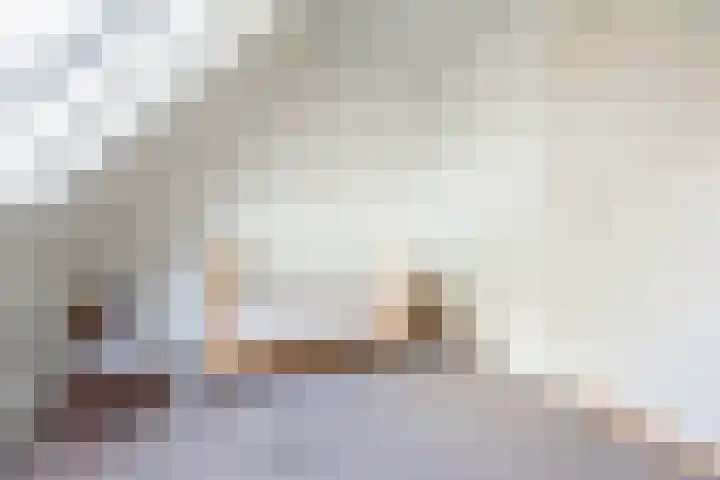 Groothuizerlaan 5 Dinxperlo thumbnail 37