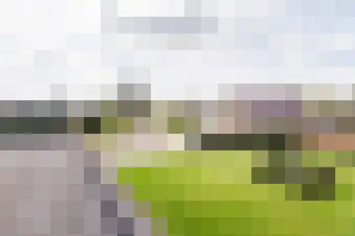 Groothuizerlaan 5 Dinxperlo thumbnail 50