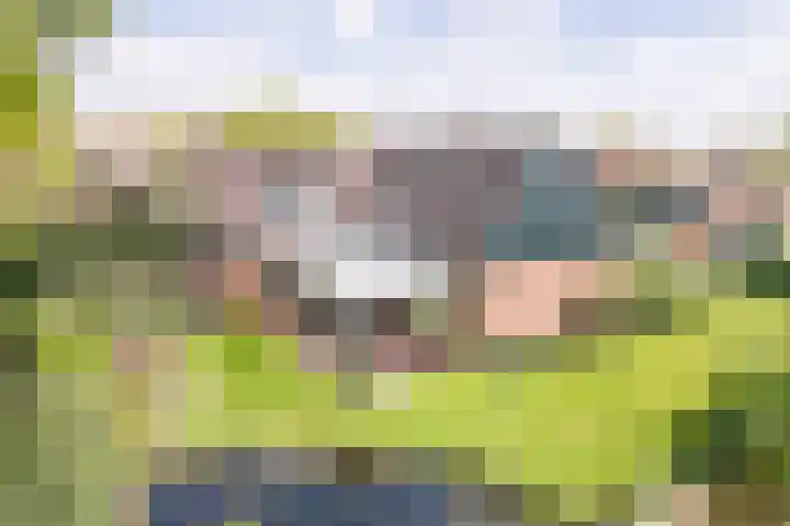Groothuizerlaan 5 Dinxperlo thumbnail 52