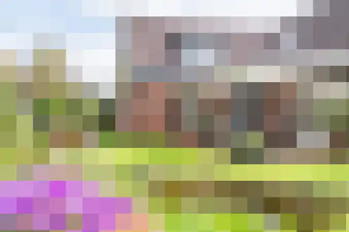 Groothuizerlaan 5 Dinxperlo thumbnail 53