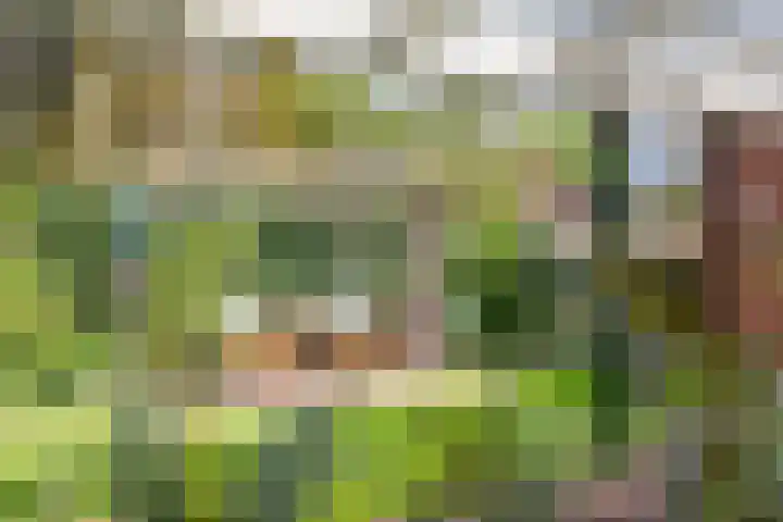 Groothuizerlaan 5 Dinxperlo thumbnail 55