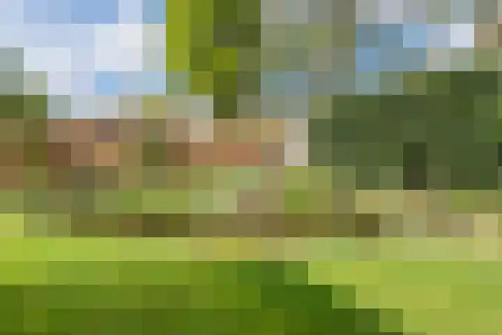 Groothuizerlaan 5 Dinxperlo thumbnail 57