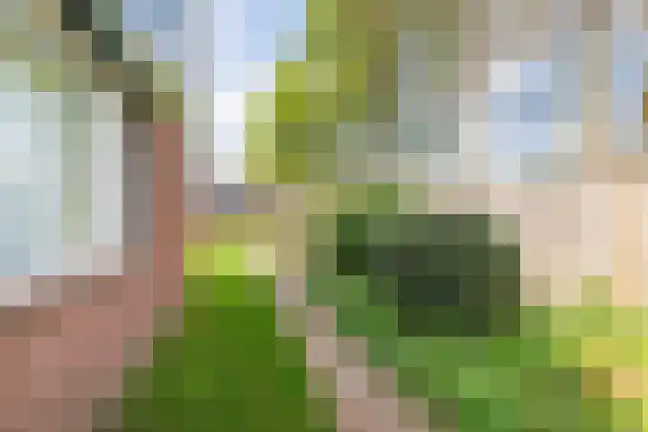 Groothuizerlaan 5 Dinxperlo thumbnail 58