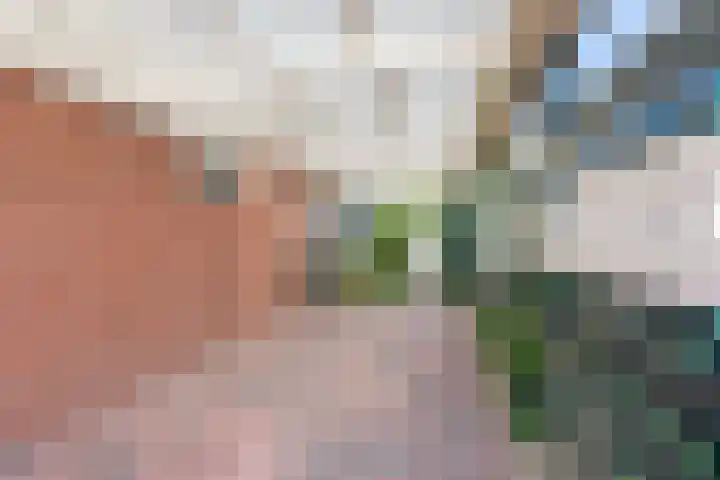 Groothuizerlaan 5 Dinxperlo thumbnail 59