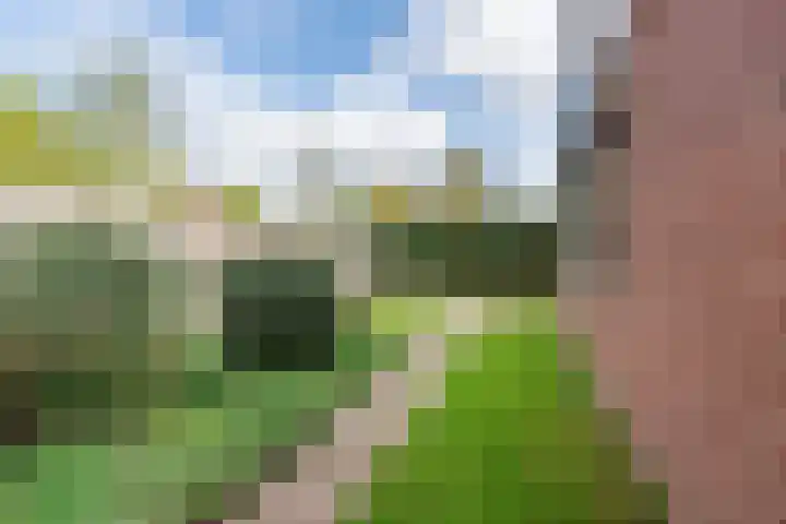 Groothuizerlaan 5 Dinxperlo thumbnail 60