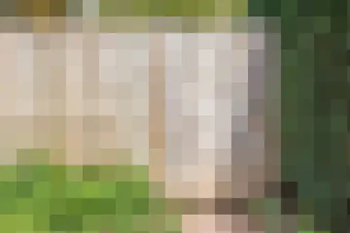 Groothuizerlaan 5 Dinxperlo thumbnail 61