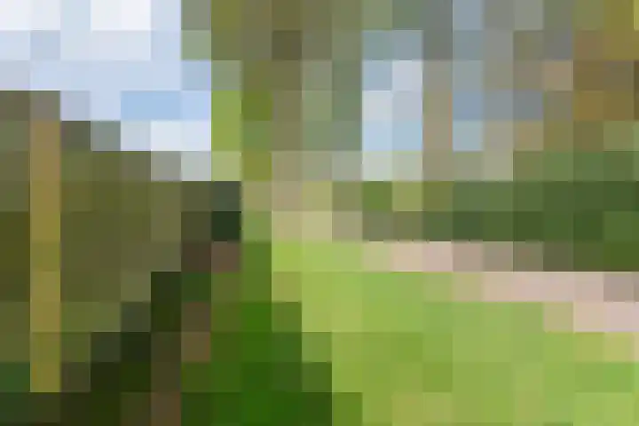 Groothuizerlaan 5 Dinxperlo thumbnail 62