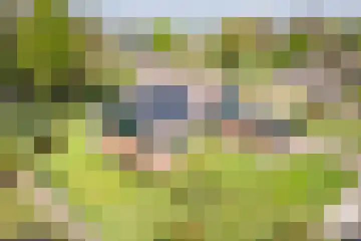 Groothuizerlaan 5 Dinxperlo thumbnail 65