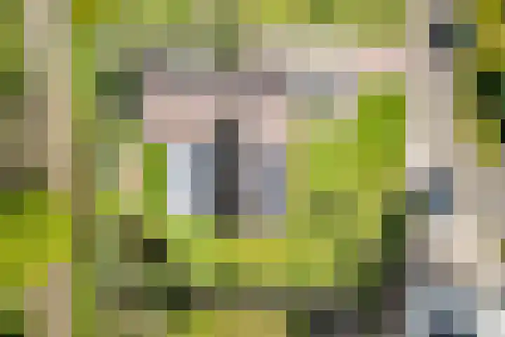 Groothuizerlaan 5 Dinxperlo thumbnail 66