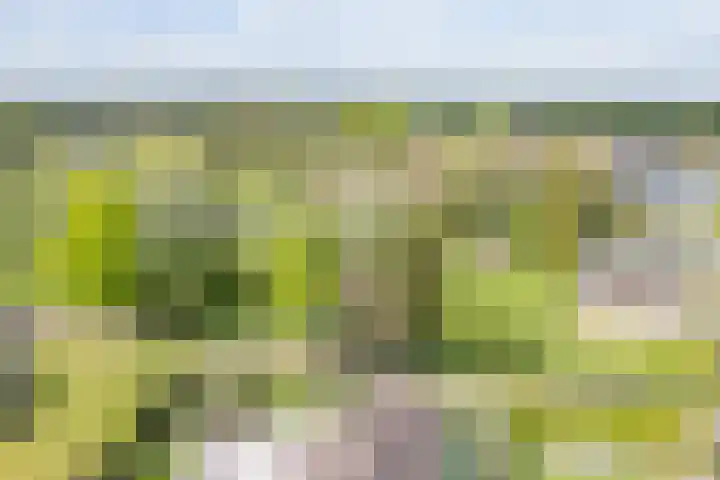 Groothuizerlaan 5 Dinxperlo thumbnail 67