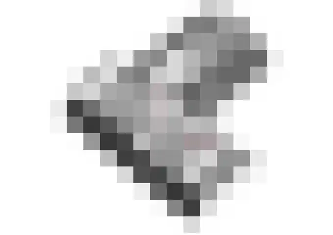 Groothuizerlaan 5 Dinxperlo thumbnail 75