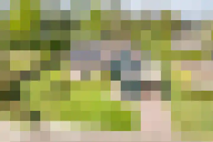 Groothuizerlaan 5 Dinxperlo thumbnail 77