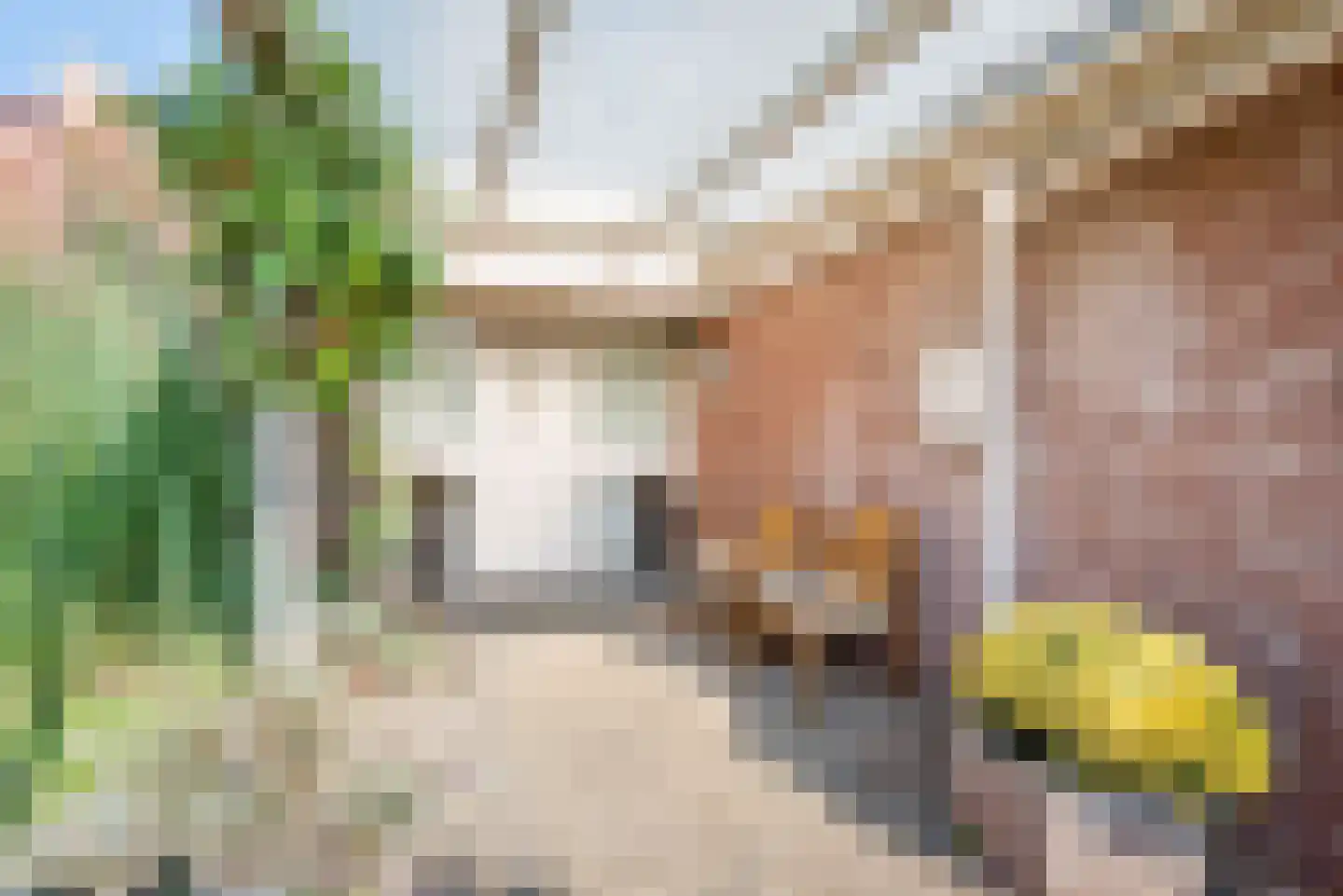 Groothuizerlaan 7 Dinxperlo thumbnail 10