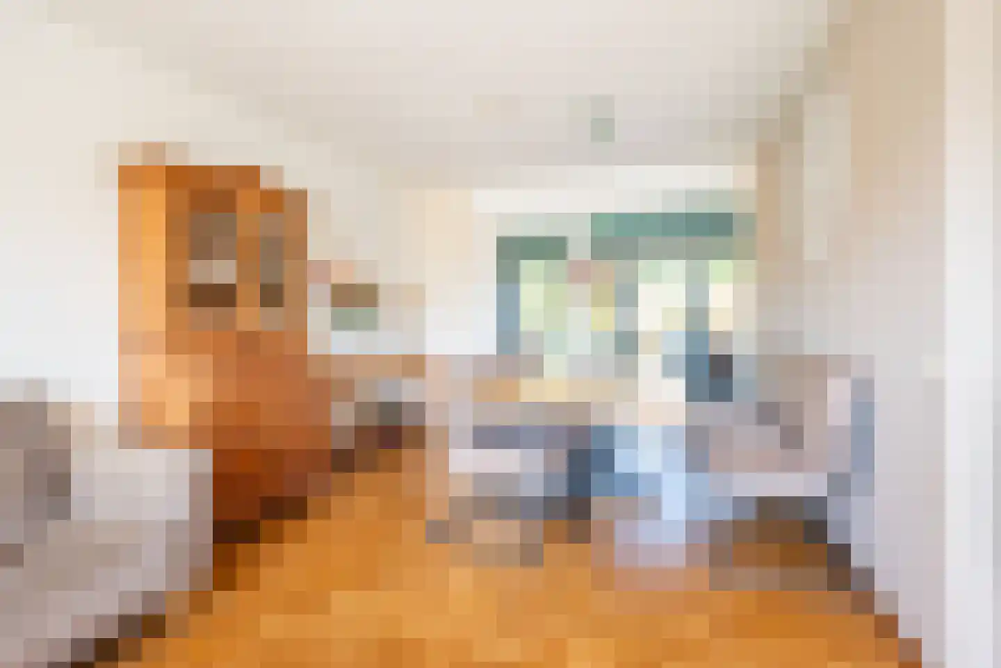 Groothuizerlaan 7 Dinxperlo thumbnail 16