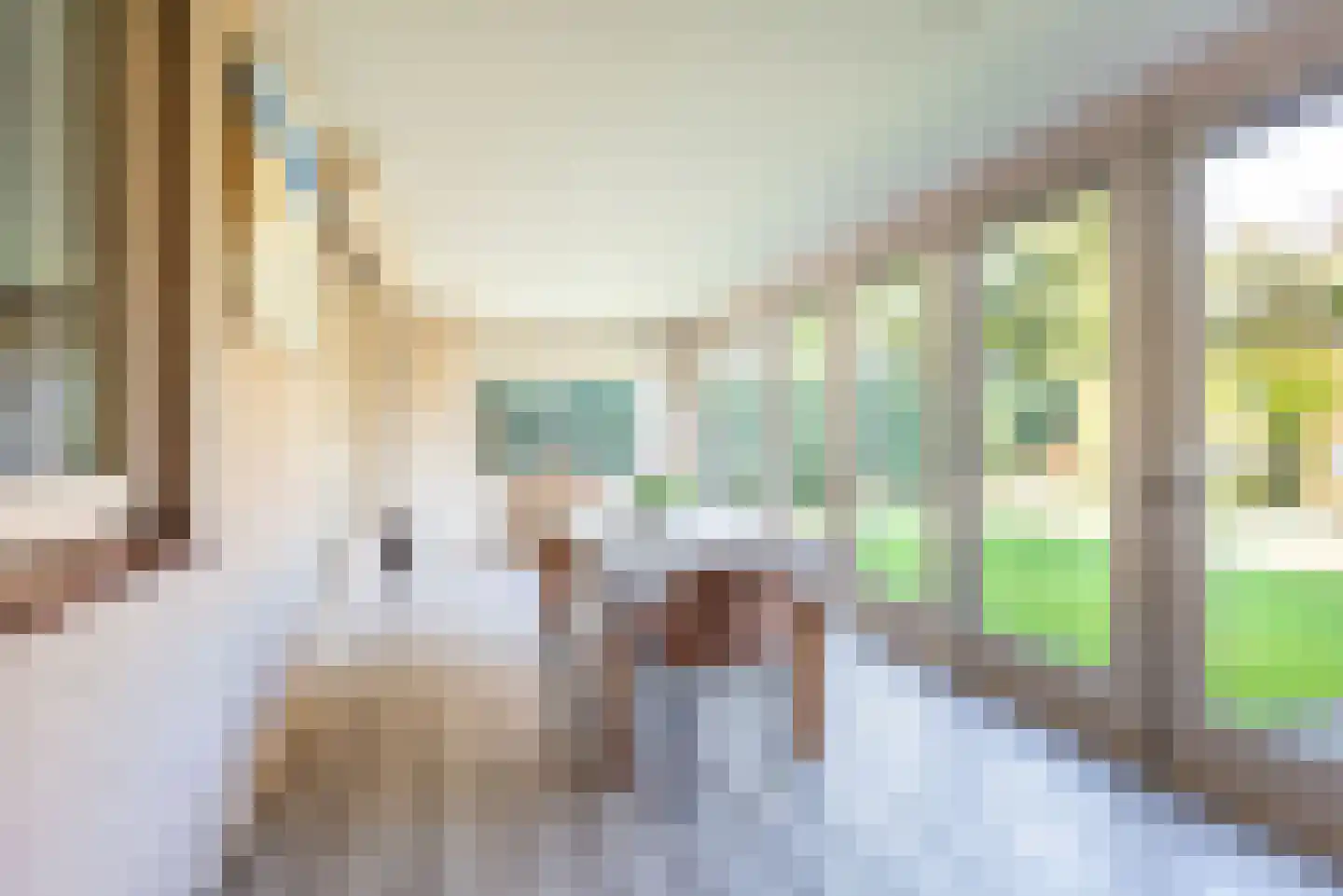 Groothuizerlaan 7 Dinxperlo thumbnail 19