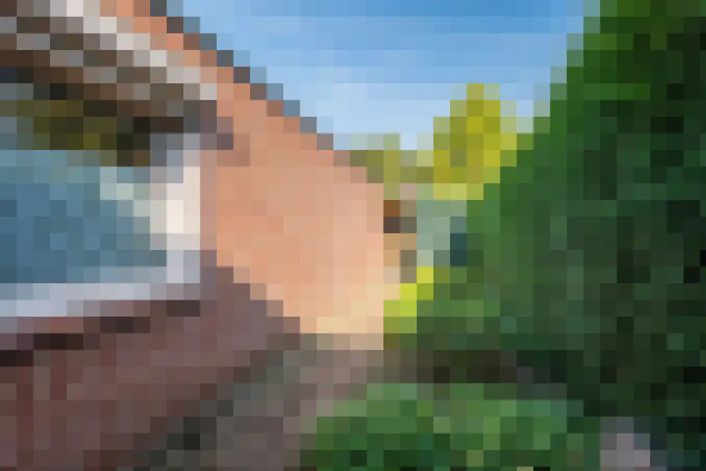 Groothuizerlaan 7 Dinxperlo thumbnail 43