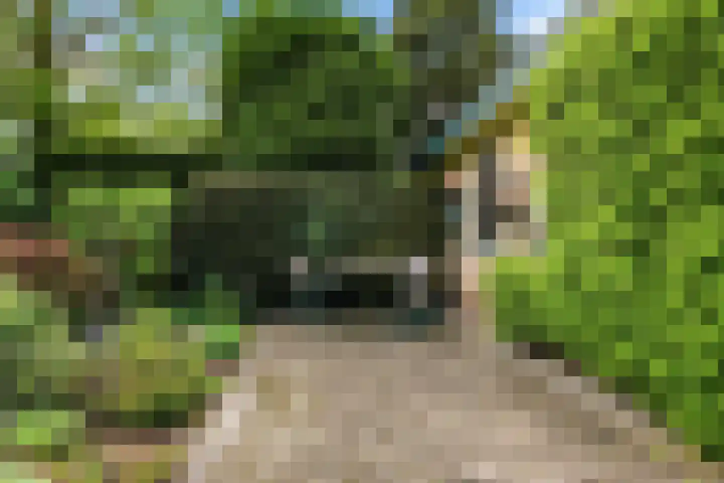 Grootland 3 Bergen (NH) thumbnail 34