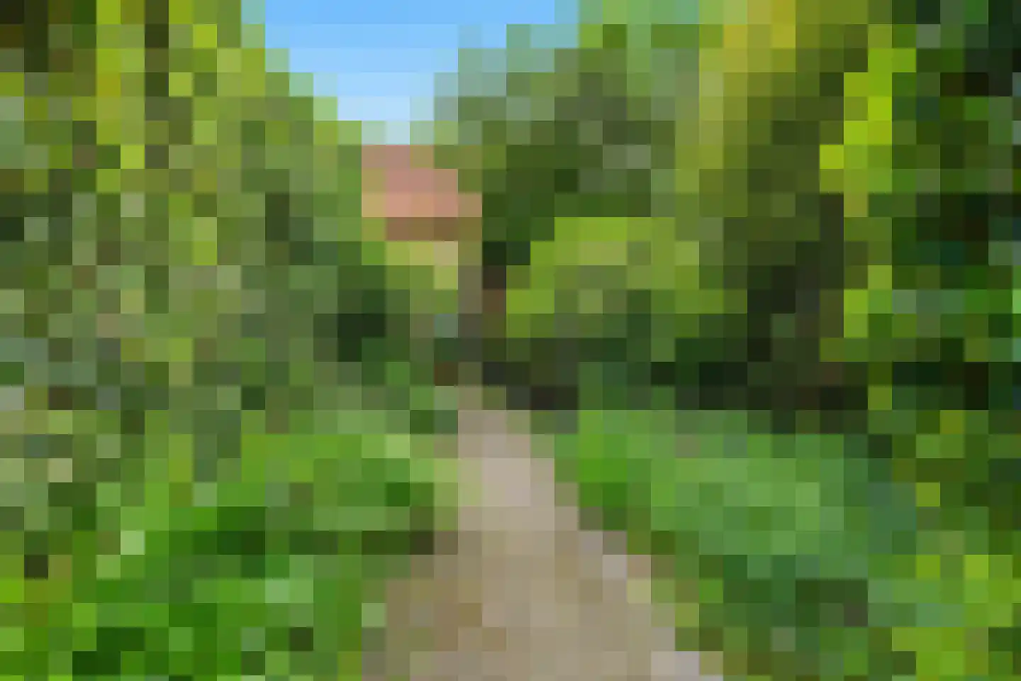 Grootland 3 Bergen (NH) thumbnail 35